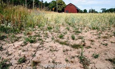 آیا سال 2022 خشک ترین سال ثبت شده بود؟