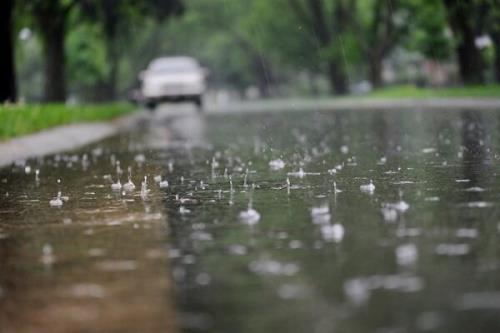 بارش باران و وزش باد شدید طی روز جاری در ۸ استان