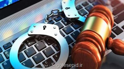 مصادیق مجرمانه محیط زیستی جدید در فضای مجازی