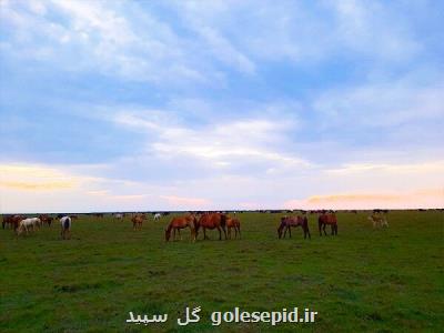 تعرضات به پارك ملی بوجاق از طرف دادستانی دنبال می شود