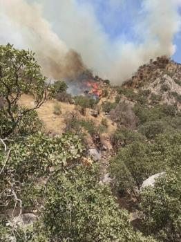 آتش سوزی جنگل های نارك و خامی گچساران بعد از ۷ شبانه روز همچنان ادامه دارد