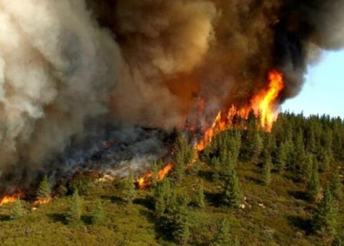 تداوم آتشسوزی در جنگل های ارسباران