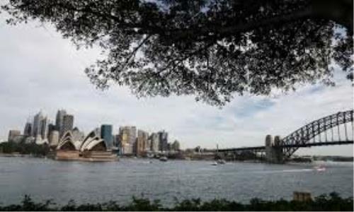 سفید کردن بام ها و کاشت درخت برای مبارزه با تغییر اقلیم در سیدنی
