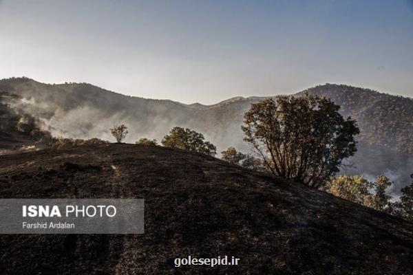 آتش سوزی در مناطق مرزی مریوان همچنان ادامه دارد