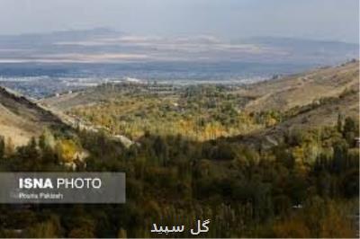 زمان برگزاری جشنواره نقاشی های ۲۰ در ۲۰ به تعویق افتاد