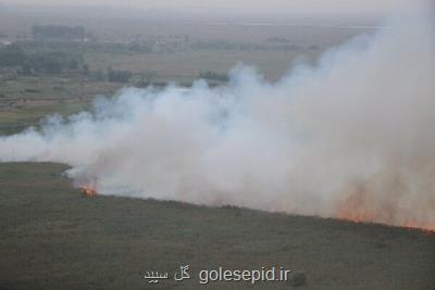 حضور 100 آتش نشان برای مهار آتشسوزی نیزارهای تالاب انزلی