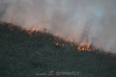 آتش طمع سودجویان به جان اراضی تالاب انزلی