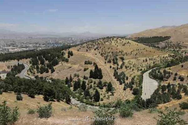 از جنگل های استان تهران چه می دانیم؟