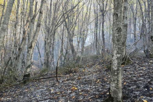 آتش سوزی جنگل هیرکانی ابر شاهرود مهار گشت