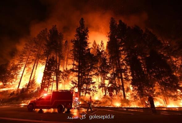گرمایش زمین، عامل اصلی آتشسوزی های غرب آمریکا بوده است