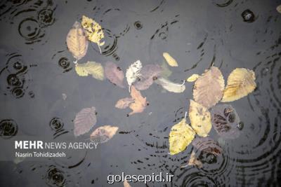 ادامه بارش های فراتر از میانگین طبیعی در اصفهان تا اختتام پاییز