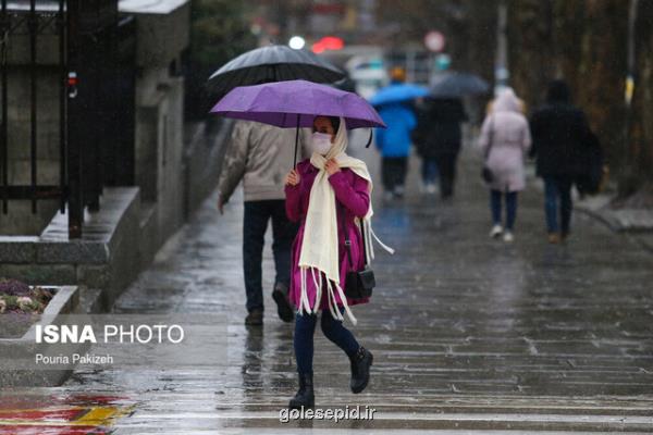 رگبار و رعد و برق در جنوب کشور