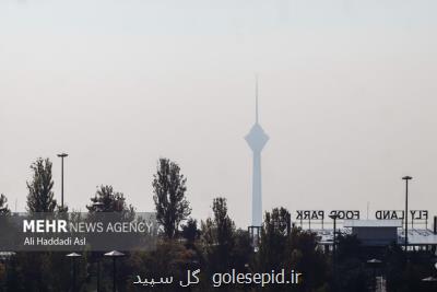 هوای تهران برای گروههای حساس ناسالم می باشد