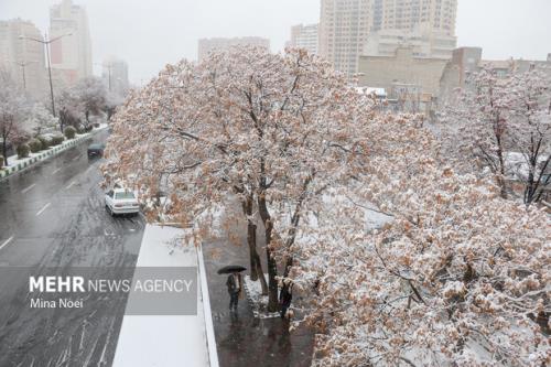 بارش برف و باران و کاهش دما در نوار شرقی کشور