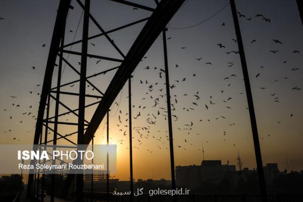 کاهش دمای ۸ استان