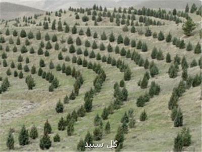 درختکاری و درخت یاری از دغدغه های مقام معظم رهبری است