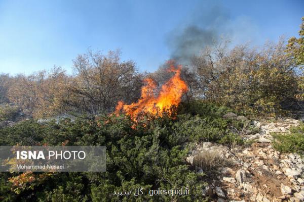 ۱۰۰ هزار هکتار از اراضی جنگلی و مرتعی طی ۵ سال قبل طعمه حریق شدند