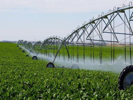 وزارت جهاد کشاورزی لایحه ممنوعیت کشت محصولات آب بر را عرضه کند