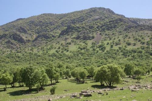 حفظ و حراست از منابع طبیعی وظیفه همگانی است