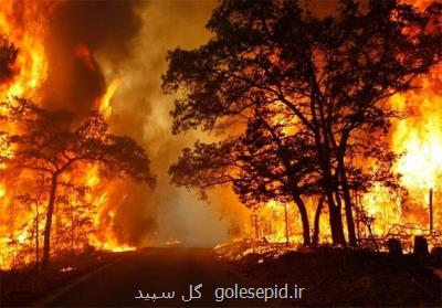 ۱۵۶ هکتار از جنگل های ارسباران طی ۲ سال قبل طعمه حریق شد