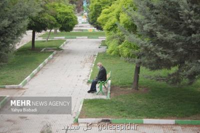 تهران از اول سال دو روز هوای پاک داشت