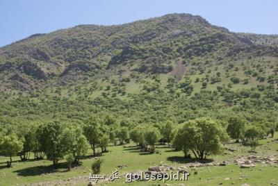 حفظ و حراست از منابع طبیعی وظیفه همگانی است