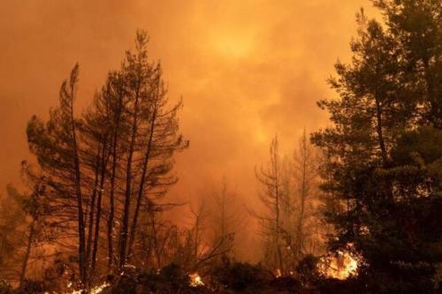 عامل ۱۰ درصد سرطان ها چیست؟