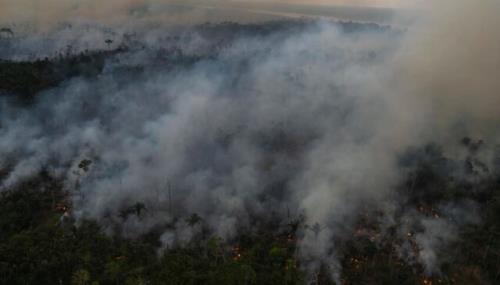 رکورد ۶ ماهه جنگل زدایی در برزیل شکسته شد