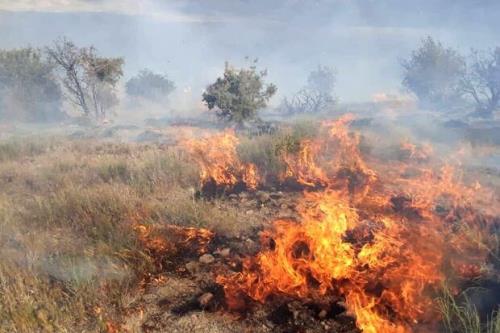 حریق در ۱۰هکتار از مراتع کجین دشت دامغان