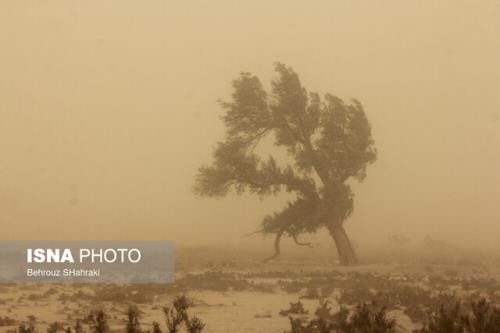 وزش باد شدید در شرق و خیزش گرد و غبار در غرب کشور