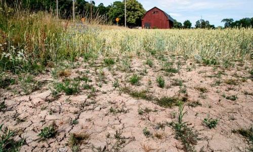 2022 خشک ترین سال ثبت شده بوده است؟