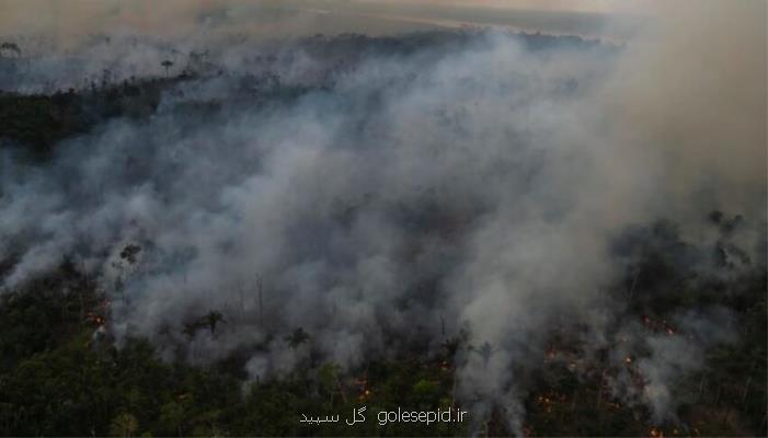 رکورد ۶ ماهه جنگل زدایی در برزیل شکسته شد