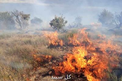 حریق در ۱۰هکتار از مراتع کجین دشت دامغان