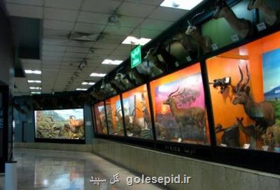 گسترش همکاریهای دفتر موزه ملی تاریخ طبیعی با دانشگاه تهران