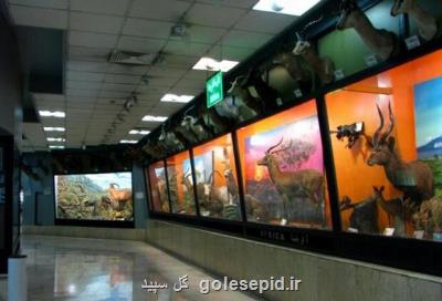 گسترش همکاریهای دفتر موزه ملی تاریخ طبیعی با دانشگاه تهران