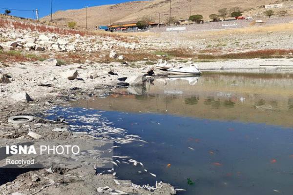 ماهیان سد گاوازنگ زنجان قربانی کم آبی شدند