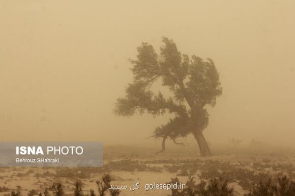وزش باد شدید در شرق و خیزش گرد و غبار در غرب کشور
