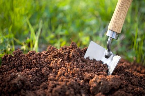 تنها 5 میلیون هکتار خاک خوب در کشور داریم