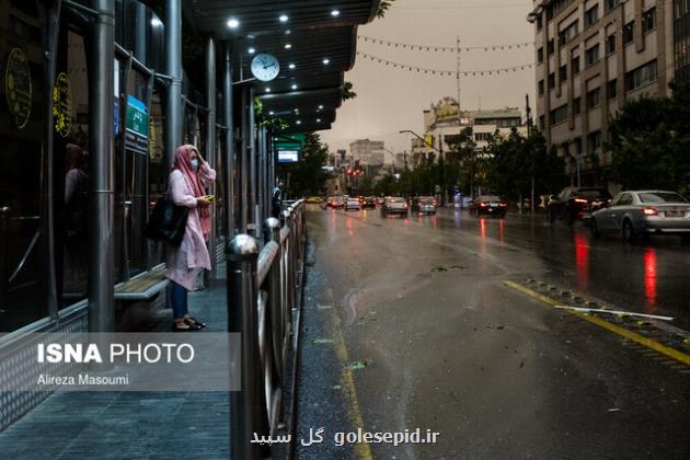 وزش باد شدید در جنوب و غرب تهران