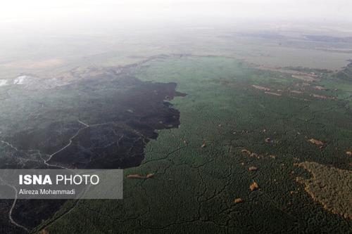 بررسی چند طرح محیط زیستی در خوزستان