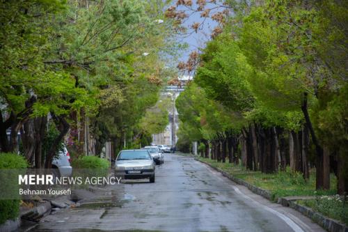 کاهش نسبی دما در سواحل شمالی
