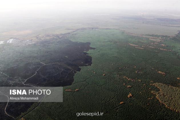 بررسی چند طرح محیط زیستی در خوزستان