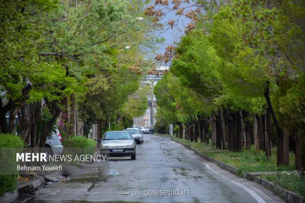 کاهش نسبی دما در سواحل شمالی
