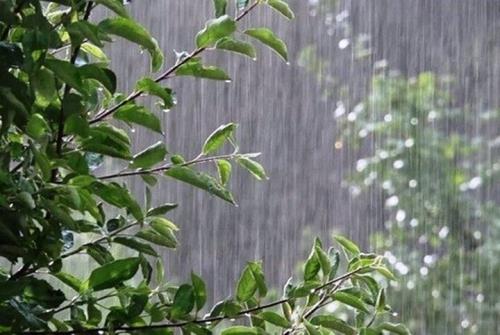 بارش باران و کاهش دما در استانهای شمالی طی روز جاری