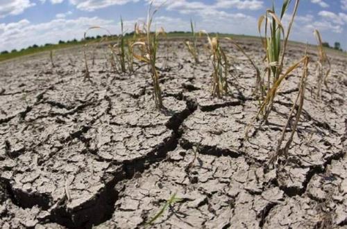 تغییر اقلیم بیش از طریق خشکسالی و سیلاب احساس می شود