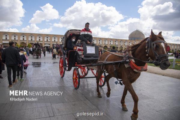 لکه حیوان آزاری بر دل نقش جهان