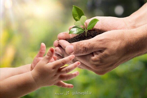 جزئیات برگزاری چهارمین جلسه شورایعالی محیط زیست