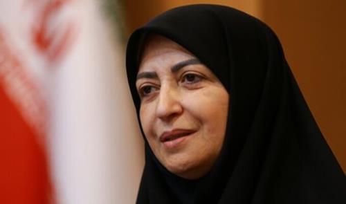 رییس سازمان محیط زیست وارد لرستان شد
