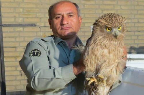 تشییع محیط بان شهید در بهبهان با حضور معاون رئیس جمهور