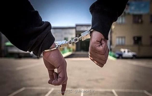 ۲ شکارچی غیرمجاز در ارتفاعات مجن شاهرود دستگیر شدند